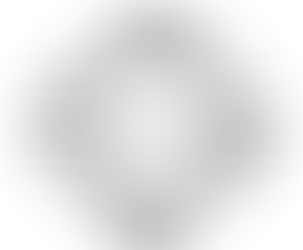 Incomindios Lippuner Scholarship 2026 Call for Applications