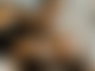 The Weekender - Wochenupdate