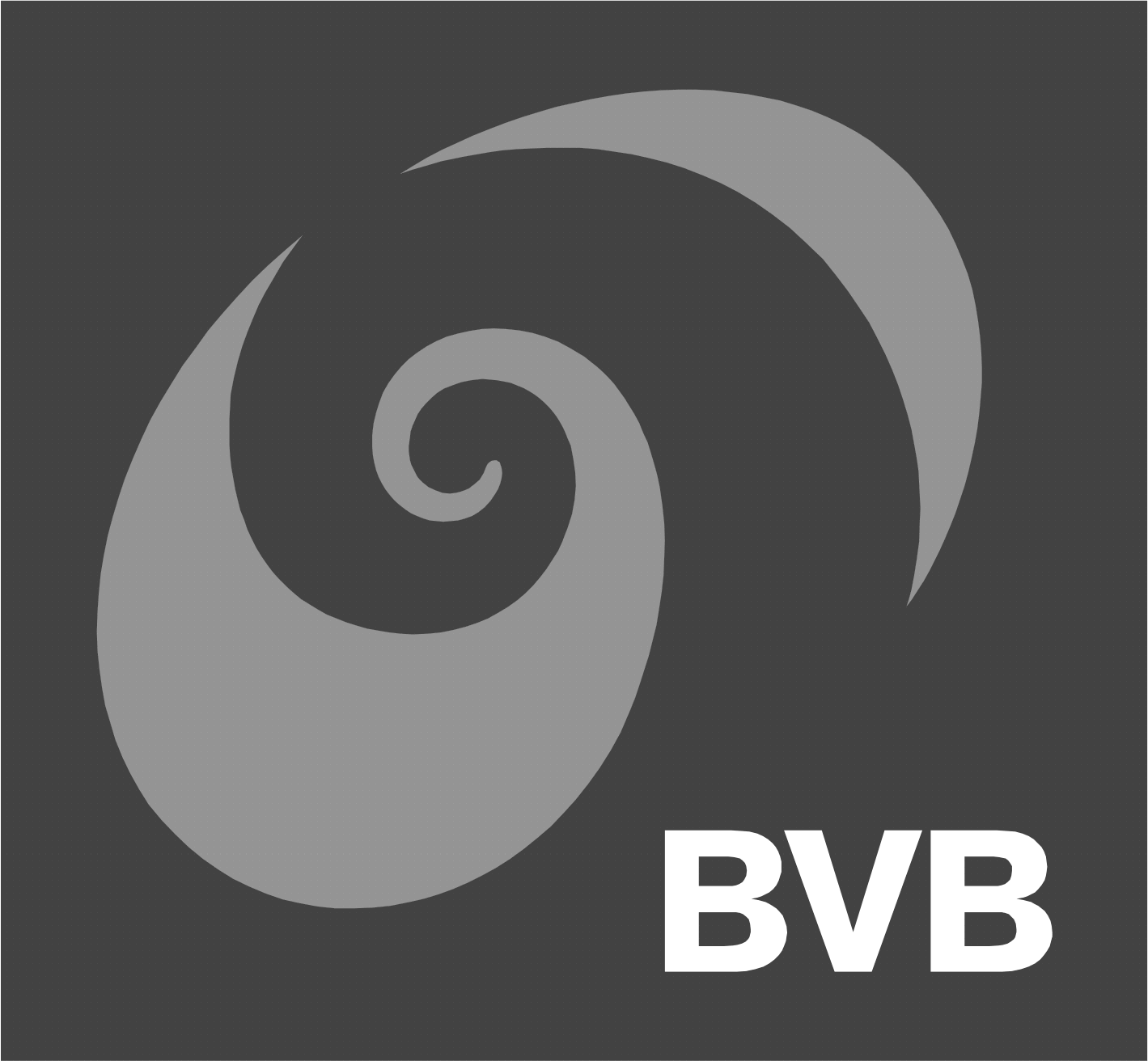 BVB_RGB.gif