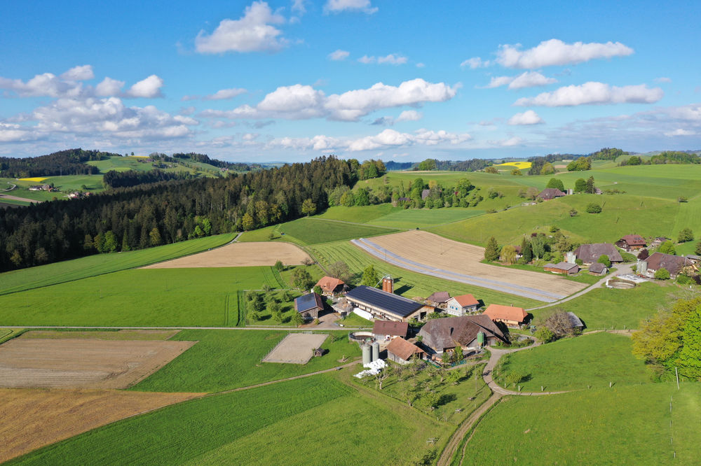 Ferien auf dem Bauernhof