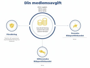 Vad går medlemsavgiften till?