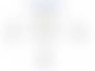 Vad går medlemsavgiften till?