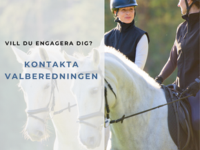 Vill du engagera dig som styrelsemedlem?