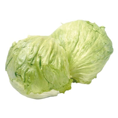Iceberg Lettuce