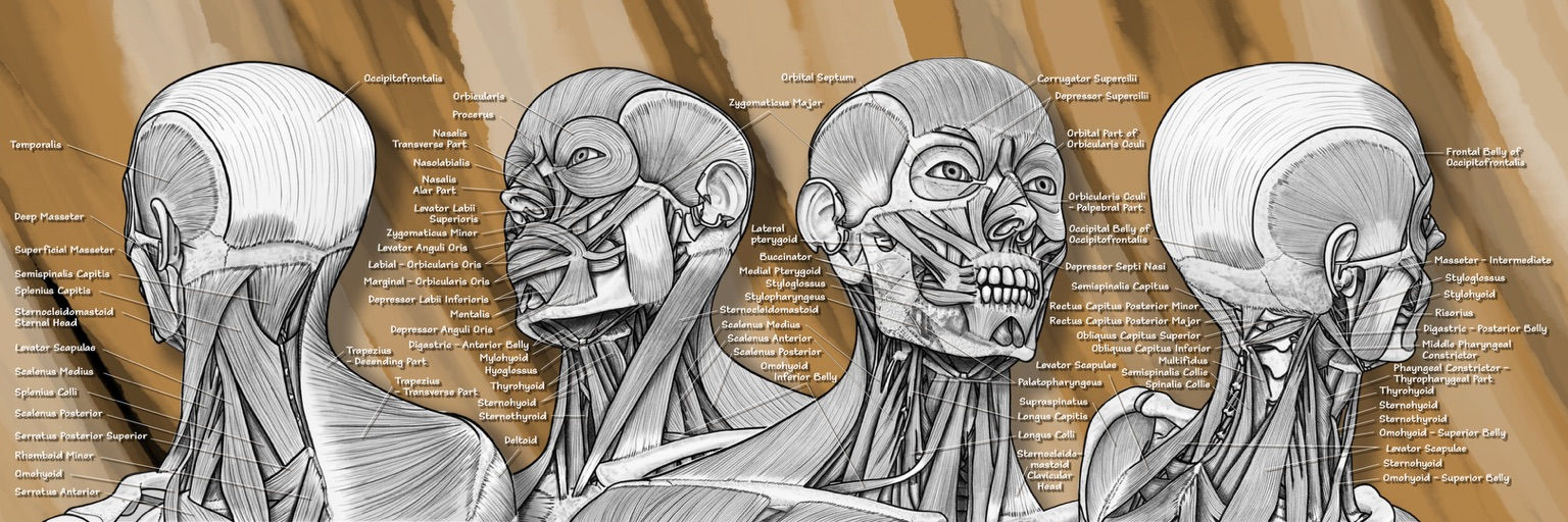 Foundations of Expression - on brown