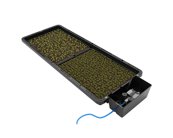 Miniaturbild: Tray2Grow Micro-Herbs Tray