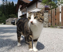 dann eine ruhige Nische suchen