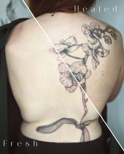 Lylou Tattoo - Floral tattoosh healed