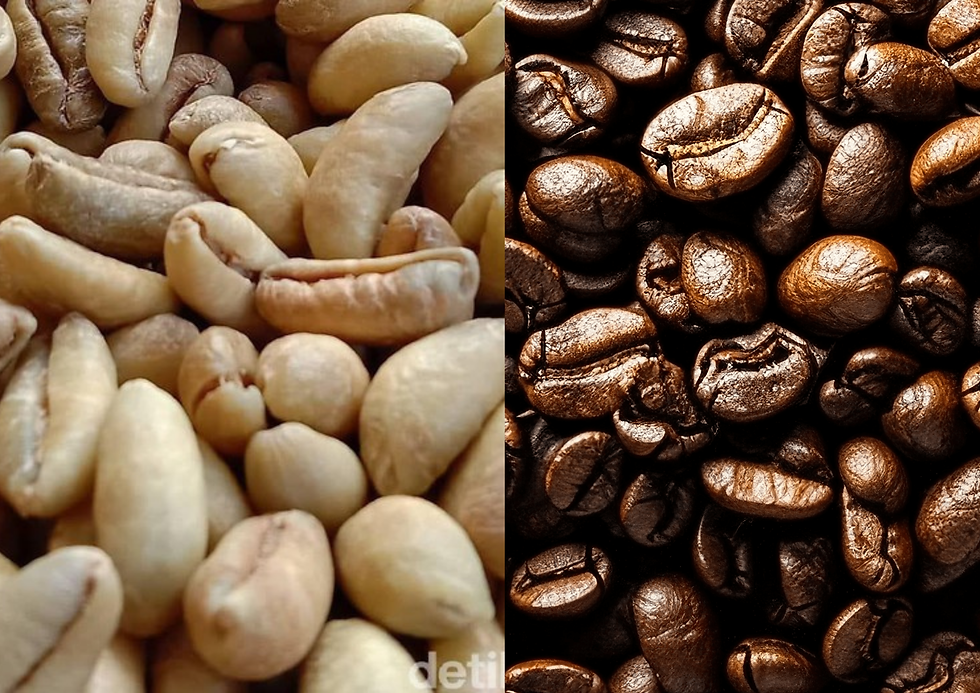 Not Arabica, Not Robusta — Meet Excelsa, Liberica, and Other Rare Coffee Varieties Ready to Rock Your Taste Buds!