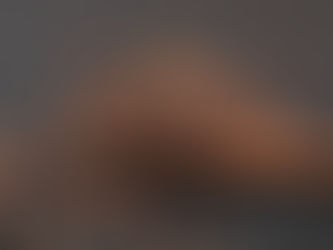 Profit Potential from the Garden: The Business Opportunity of Clove in the Global Export Market