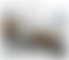 BİANET.ORG - Otizmli çocuğun bakımevinde ölümüyle ilgili Avukat Rengin Geçen'den açıklama