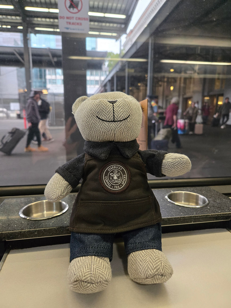 The BEARista