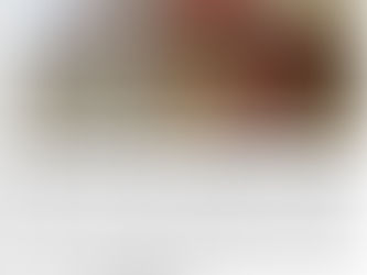 Shanghai Daily, Novembre 2018