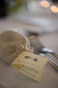 Chris Webber Photographer St Ives