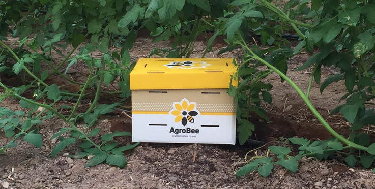 AgroBee