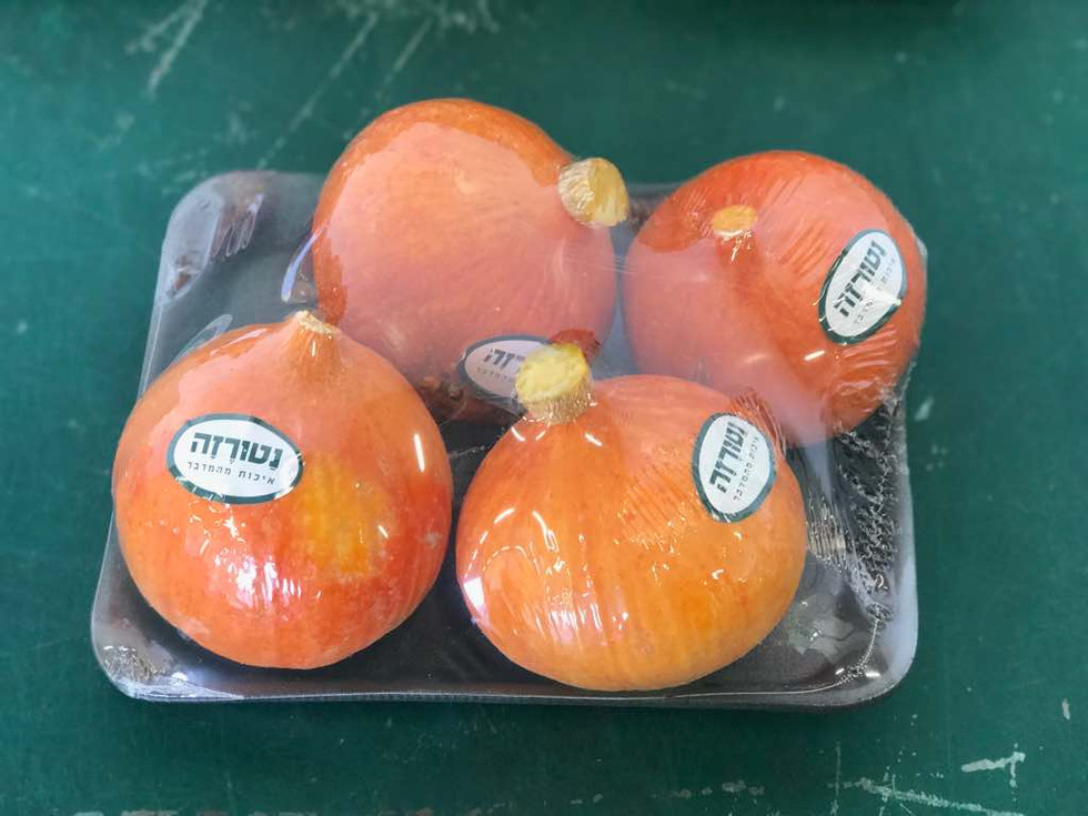 אריזות נטורזה