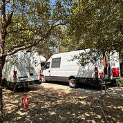 WhatsApp Image 2026-02-13 at 16.54.03.jpeg