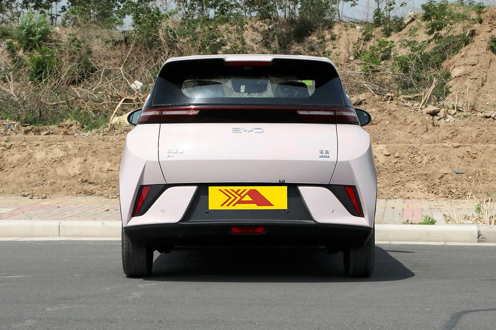 Миниатюра: Seagull 2025 Smart Driving Edition 405KM Flying Edition