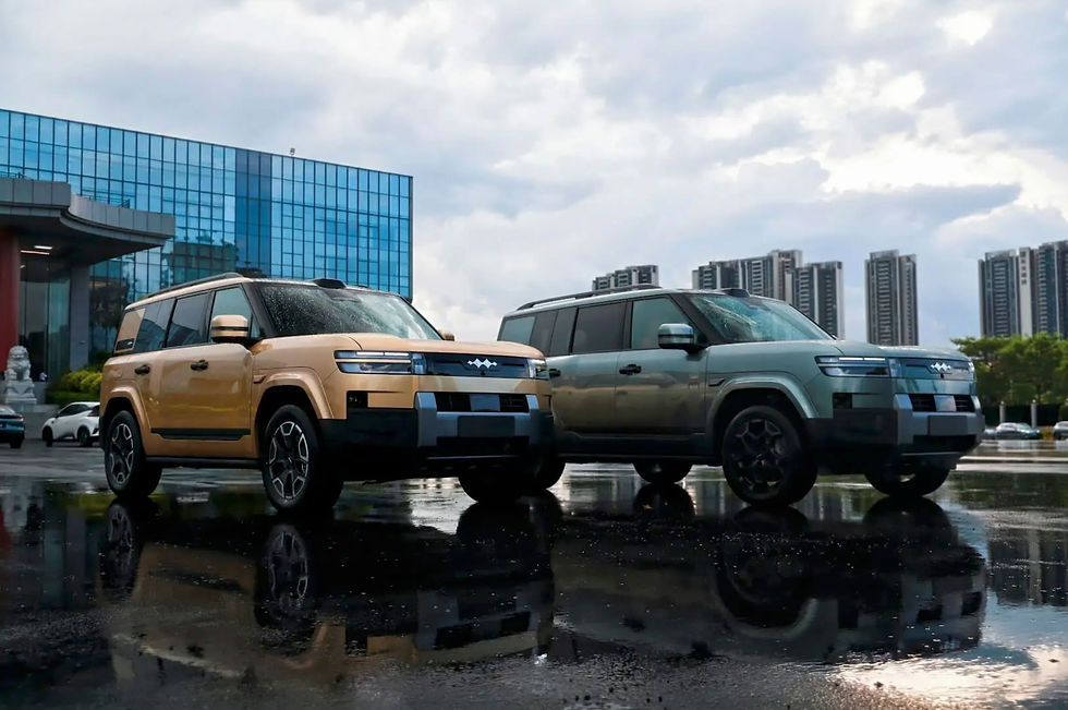 Миниатюра: BYD Leopar8