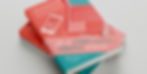 MOCKUP-#5-copy.jpg