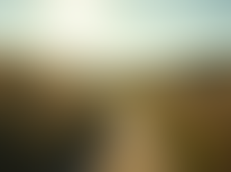 Unlock Your Potential with Luz Elena ZV's Insights