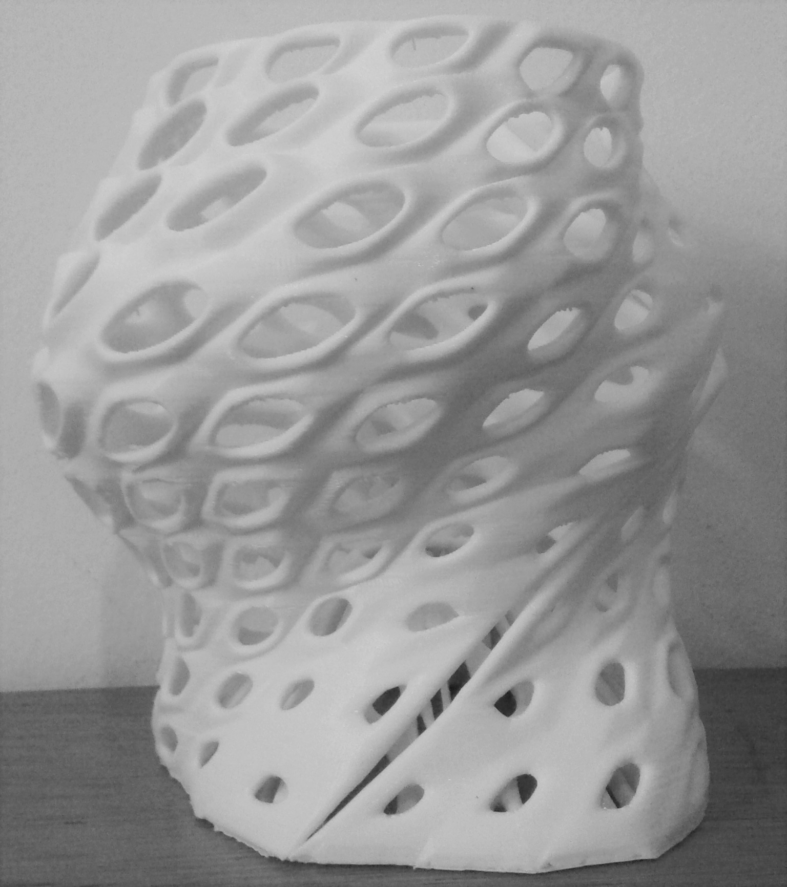 parametricdesign grasshopper 3dprint