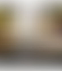 Sprekende Ezels | 7 januari 