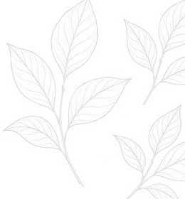 png green hand drawn leaves finbe line d