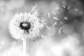 Alternative Cancer Treatment
