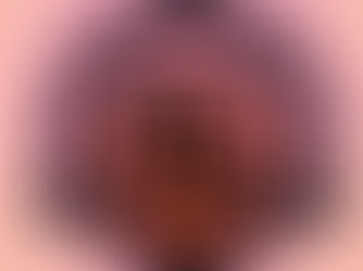 Mebane Appliance Repair Services