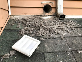                Dryer Vent Cleaning