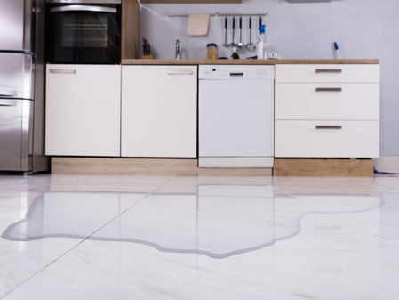 Why is my Dishwasher Leaking?