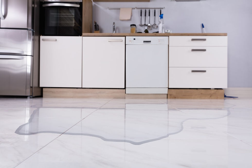 water puddled on floor from dishwasher leak. https://static.wixstatic.com/media/06f6a5_6df53ae466f646daa48955f9d4d08d2e~mv2.jpg