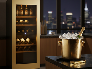 Wine Cooler & Ice Maker Repair