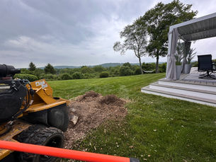 affordable stump grinding in CT. Today was a homeowner in Watertown Ct.