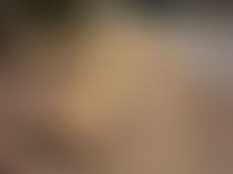 Stump Grinding in Granby, CT: A Satisfied Homeowner’s Story