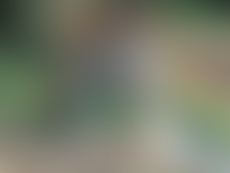 What Sets Stumpy McGrinder’s Stump Grinding Apart?