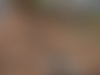 Stump Grinding Removal For Simsbury CT. Resident From Eversource Tree Removal