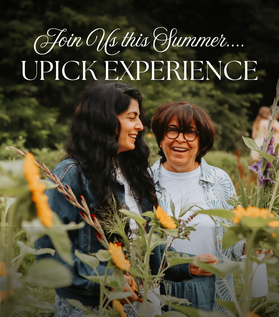 7/31/26 Sunset Upick - 7PM
