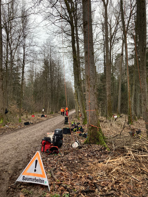 Baumpfleger im Einsatz.jpeg