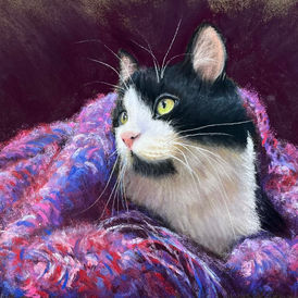 Black and white cat in a wool blanket - paper technique by Jo-Anne Pion