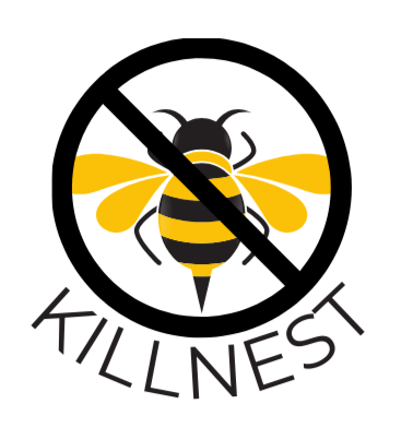 Découvrir un nid de Que Faire (et Ne Pas Faire) en Cas de Nids de Guêpes ou de Frelons ?