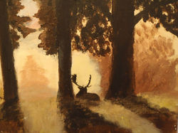 Forest Nestled Moose