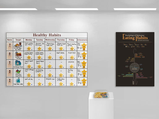 Envisioned Information Piece