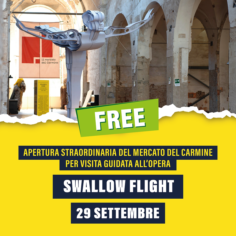 Visita l'opera di Alex Lidagovsky "Swallow flight" al Mercato del Carmine.