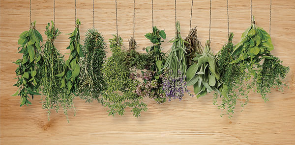 Hanging+Herbs.jpg