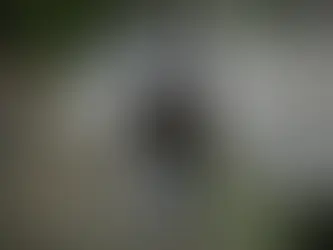 Mucha, mucha lluvia para Santo Domingo