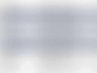 Roster del equipo dominicano con Austin Wells como receptor