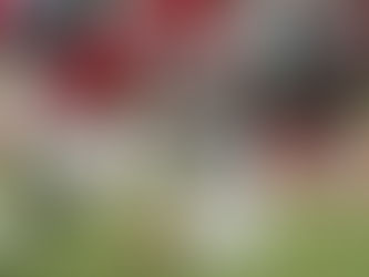 La NFL anuncia que el partido de playoffs más esperado no se transmitirá por televisión