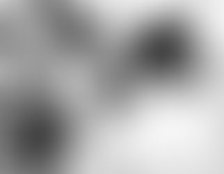 Leandro De la Cruz: Por sus hechos os conoceréis